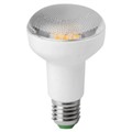 Picture for category R63 LED Bulbs