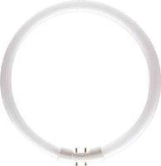 Picture of MASTER TL5 Circular 40W/840 1CT