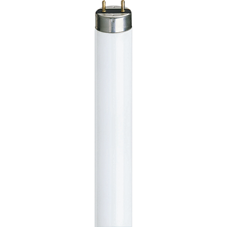 Picture for category T8 Fluorescent Tubes