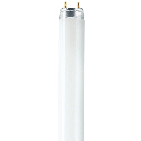 Picture for category T8 High Colour Rendering Tubes