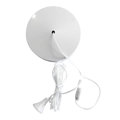 Picture of Evoges 6AX 2-Way Ceiling Pull Cord Switch (White) 