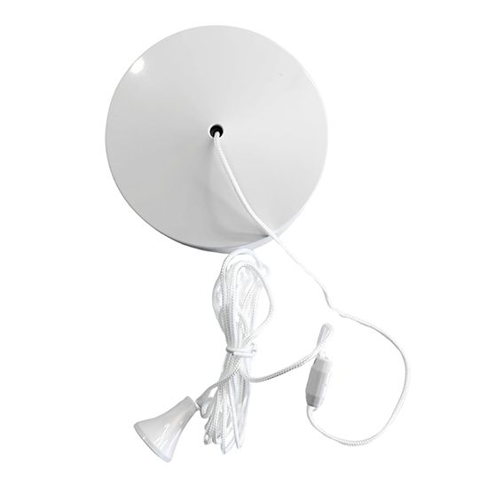 Picture of Evoges 6AX 2-Way Ceiling Pull Cord Switch (White) 