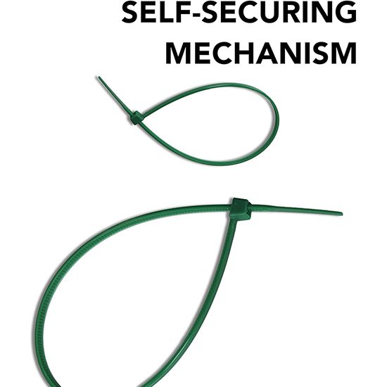 Picture of 2.5x200mm Green Nylon Cable Ties (Pack of 100) 